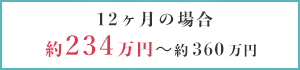 12ヶ月の場合 約234万円〜約360万円