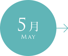 5月