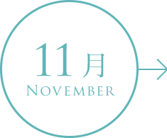 11月